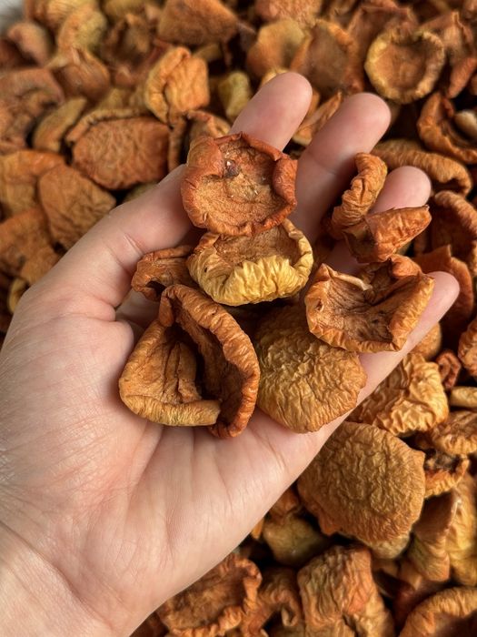 Яблоко сушенное olma quritilgan apple dried qoqi