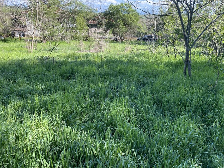 Продава се Къща в с. Тодоричене, Област Ловеч - 140 кв.м за 158 €/кв.м - Снимка #5