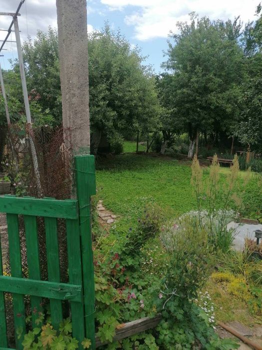 продавам две къщи в с.Балювица
