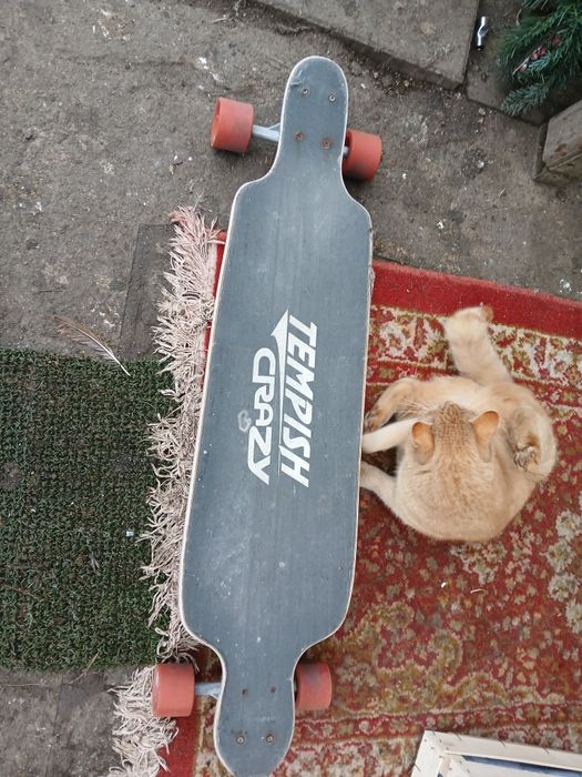 Vand skatebord aproape nou