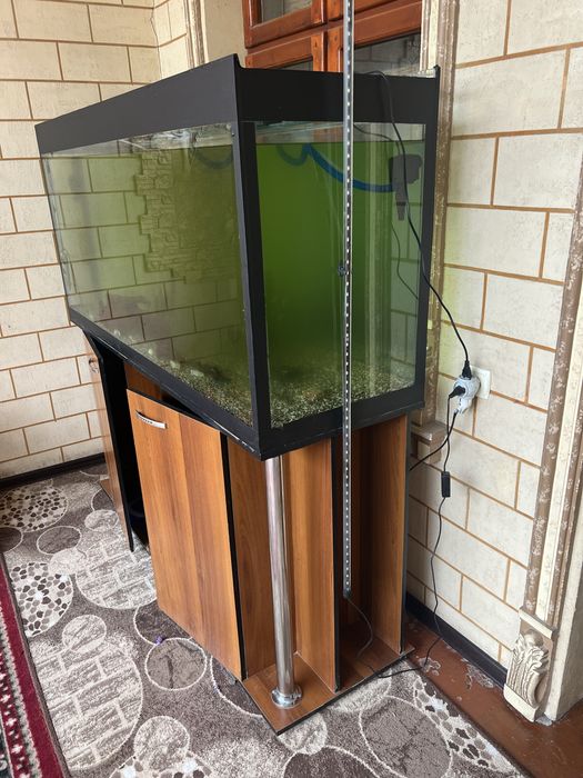 Akvaryum sotiladi 500 litr