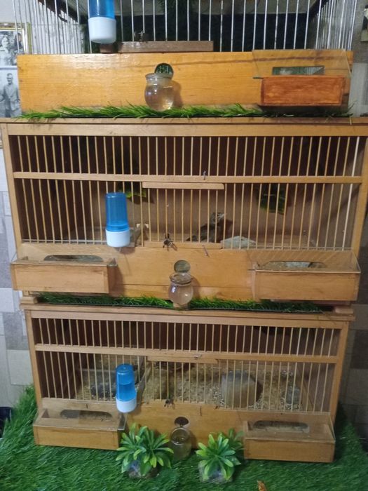 Певчая птица ЖАВОРОНОК.