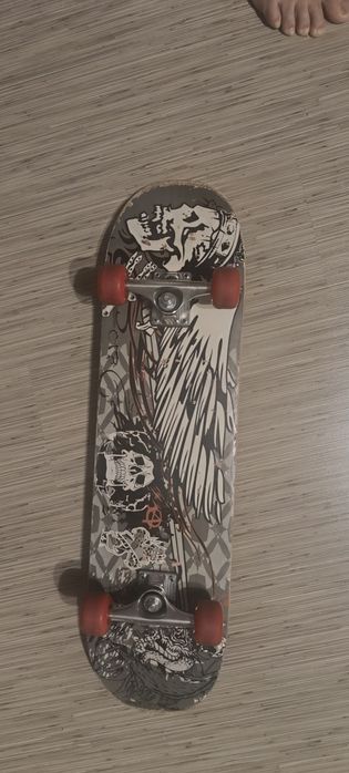 Skateboard Schildkrot