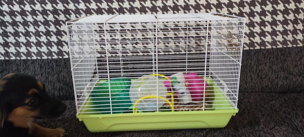 Клетка для хомяка с удобствами