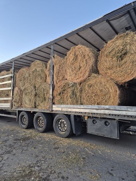 Baloti lucerna uscata