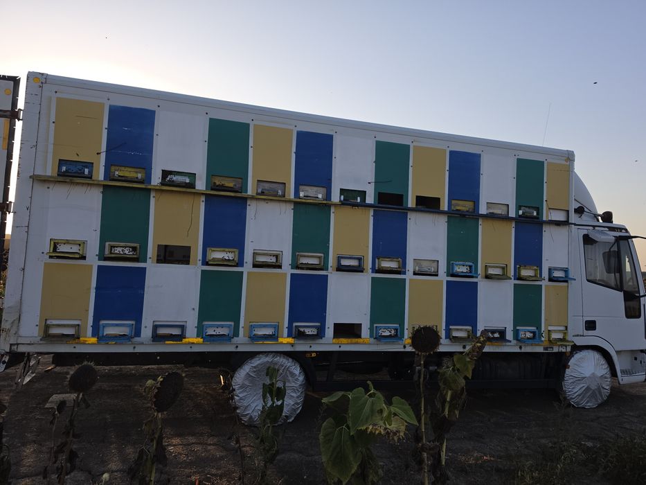 Camion Apicol Iveco Eurocargo