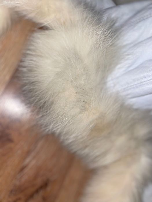 Яка от Лисица естествен косъм и шапка от ествествена кожа и косъм