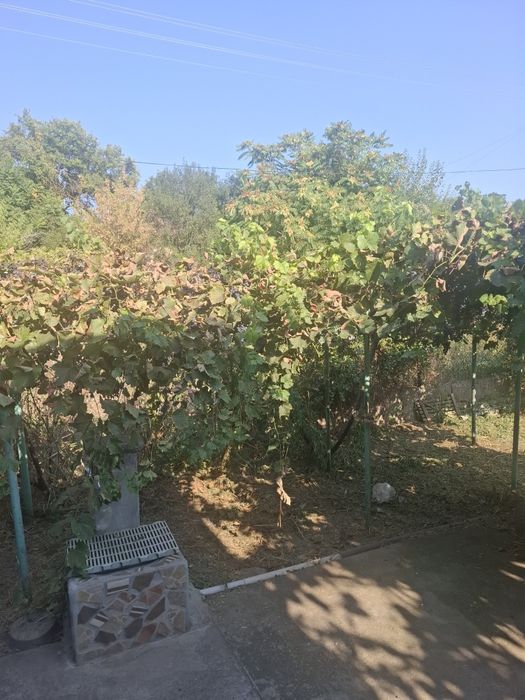 Къща в село Ситово