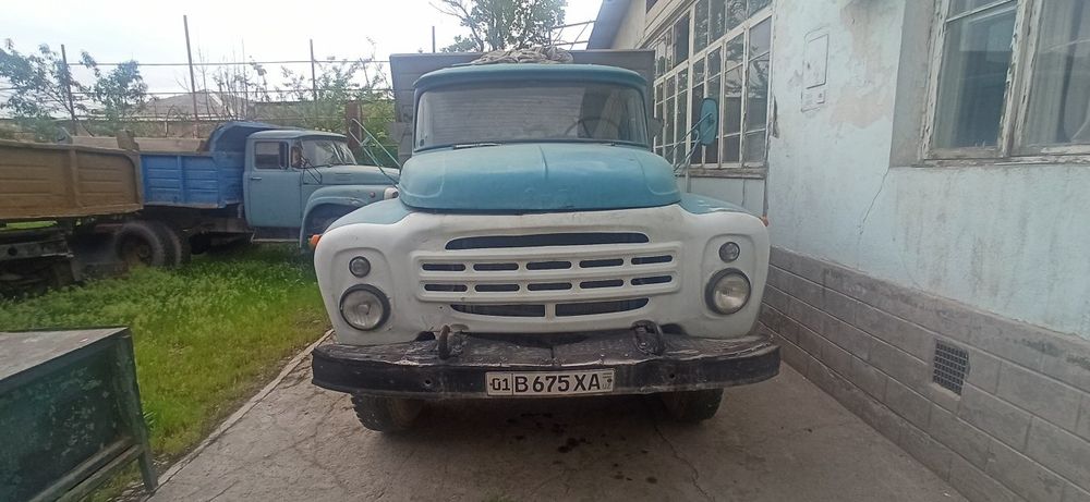 1981 yil zil zamasavol