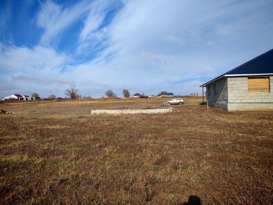 Қой. Сыйыр. Бараны. Коровы