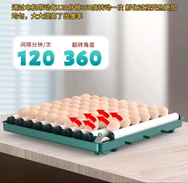 Товуқ тухумга мўлжалланган тўлиқ автоматик инкубатор сотилади