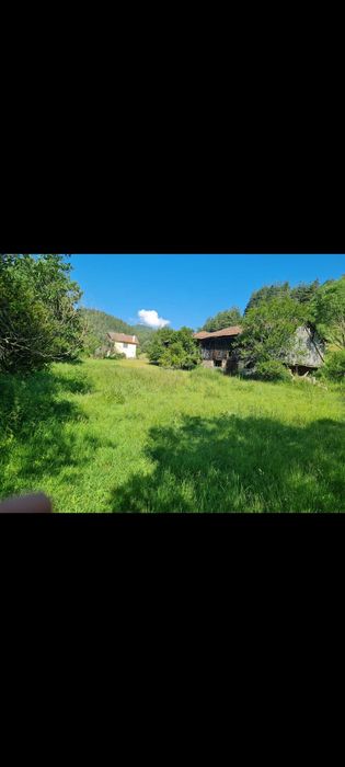 продавам животновъдна ферма в с. Борино,  обл. Смолян