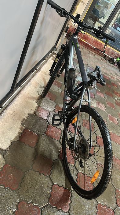 Giant roam L1.   .