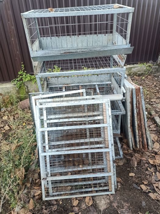 Клетки для куриц