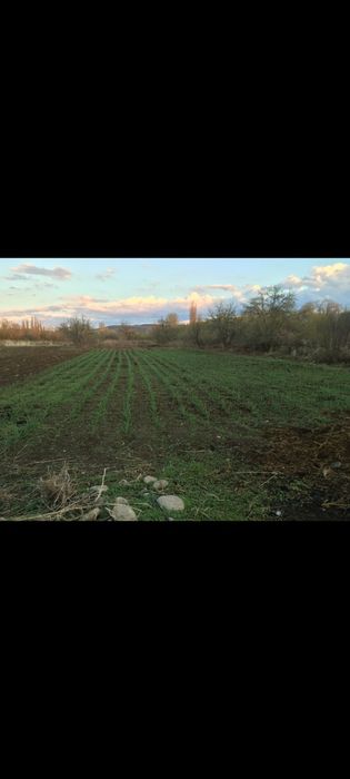 Продаётся дом, яблоневый сад, фазенда!!