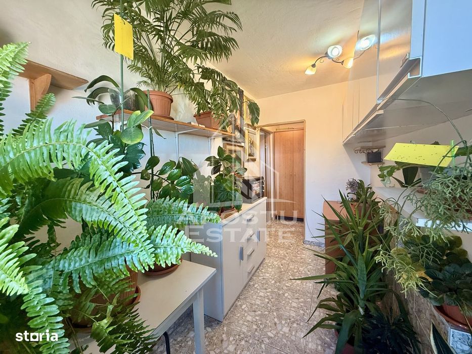 Apartament 1 camera de vanzare, zona Lunei, Timisoara