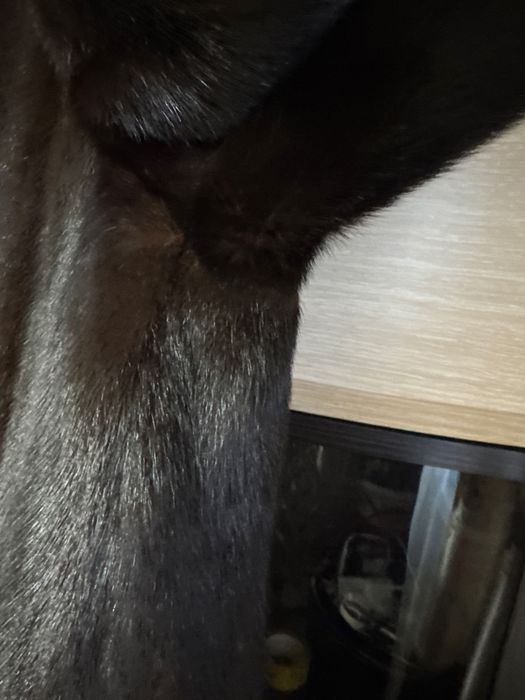 Продам шубу