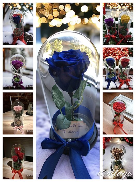 Trandafiri criogenati ursuleti in cutie cutii aranjament cadoul ideal