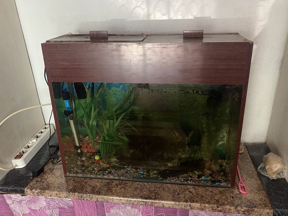 Аквариум 80 литров
