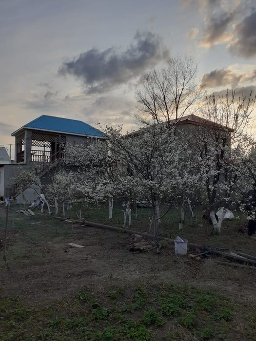 Дача в районе Черной речки