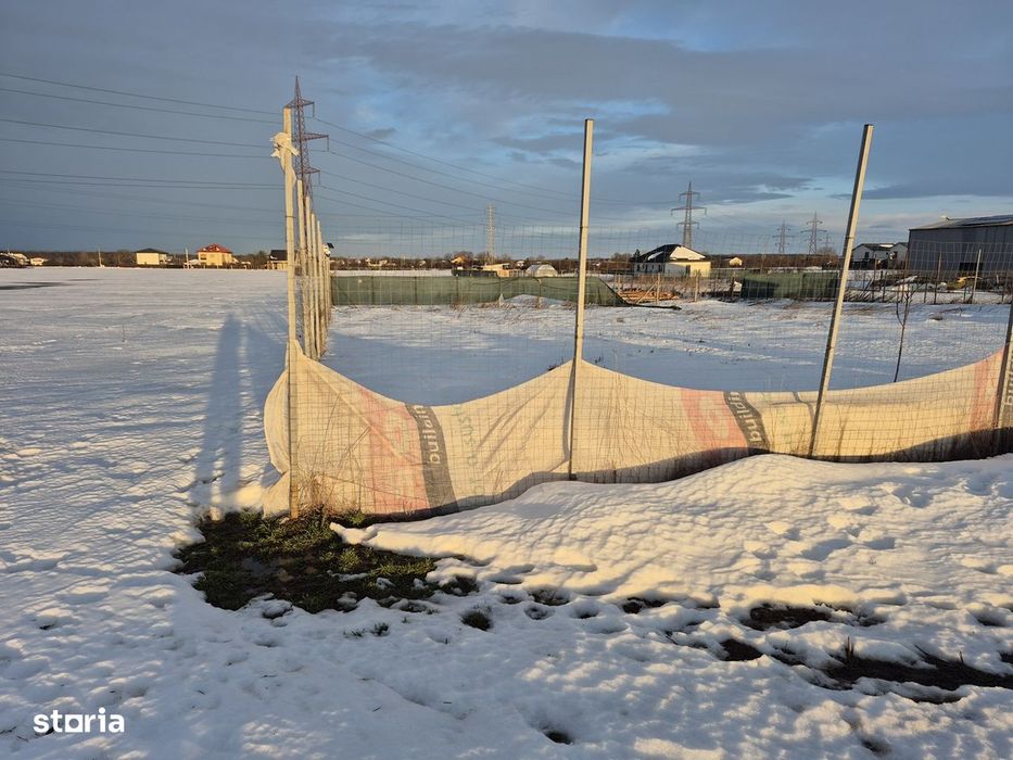 Vanzare teren Balotesti,apropiere padure, 18000 euro