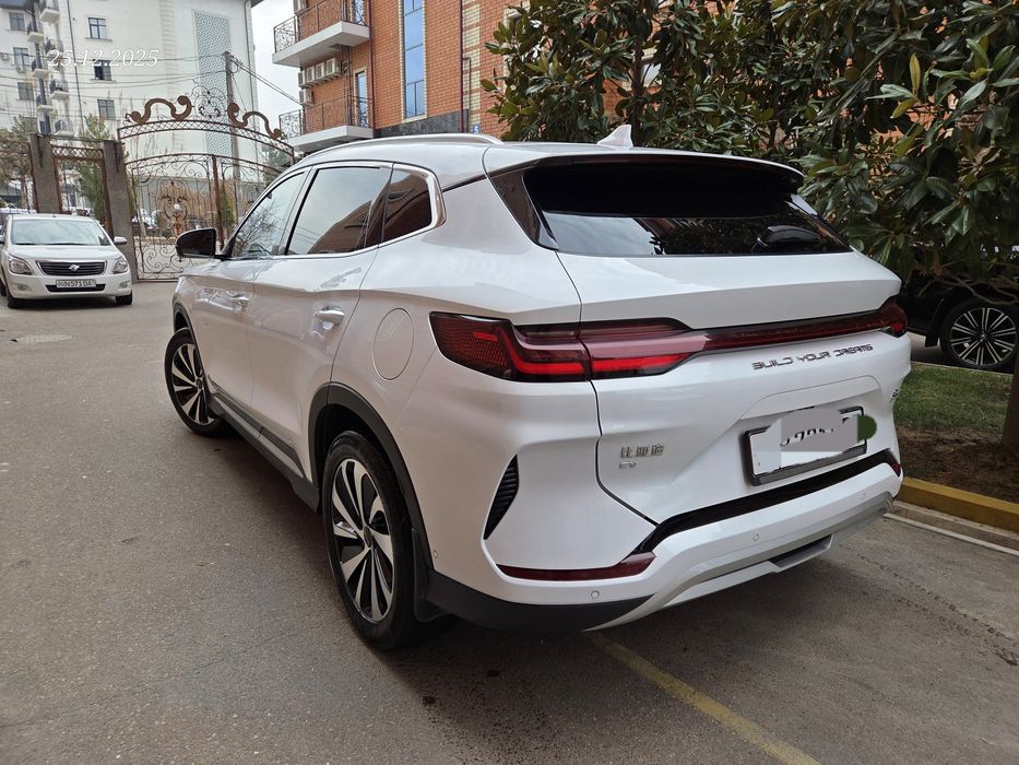 Byd champion 2023 йил