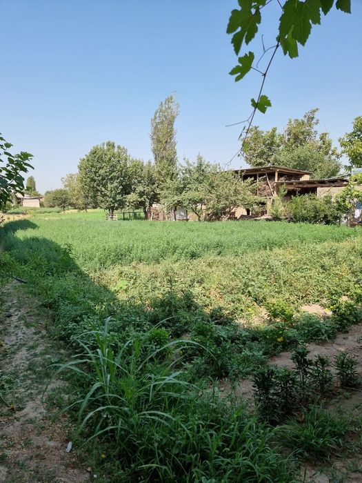 Уй сотилади Ўртачирчиқ туманида