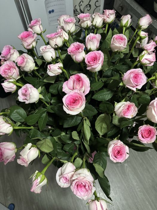Цветы срочно. 51 роза,ароматные