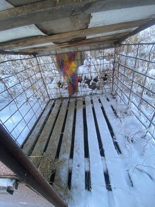 Сатылады валерь срочно