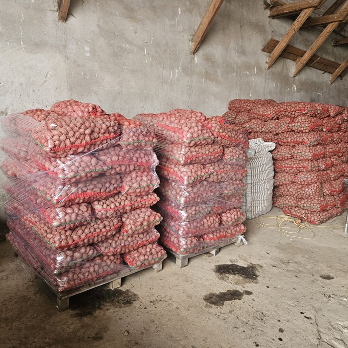 Vând Cartofi de samânța