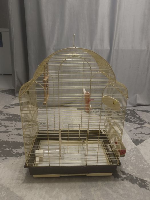 Большая клетка для попугаев