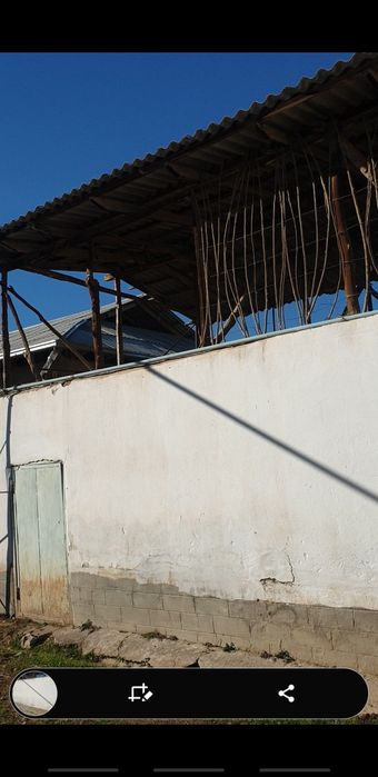 Срочно! Свой Дом, мол хона, абай