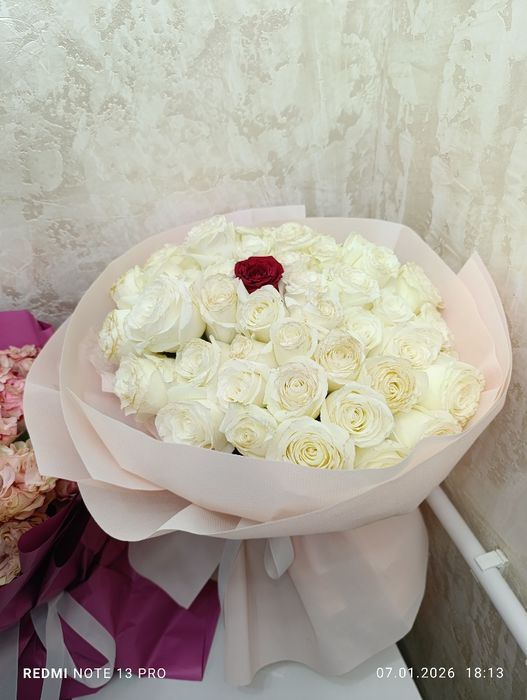 51 Гүл Свежий Адемі