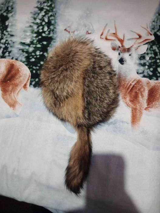 Шапка от чакалска кожа