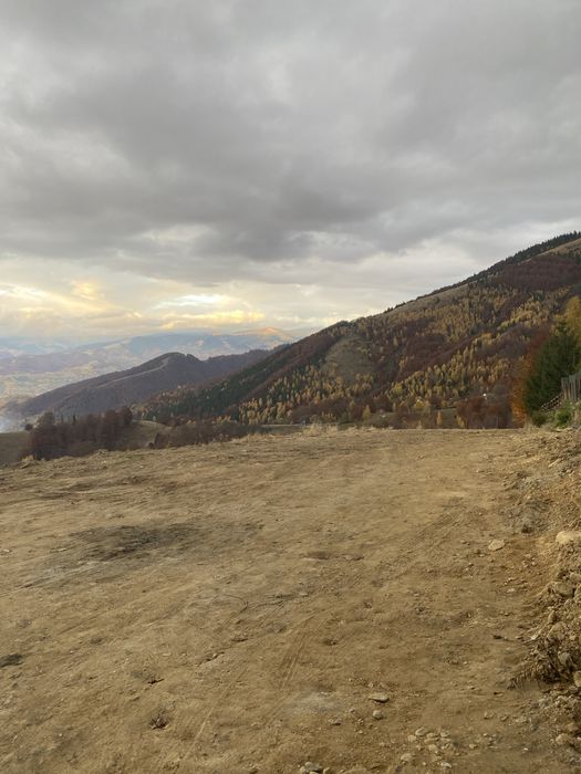 Teren de vanzare  zona Rusu