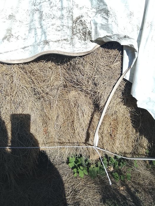 Срочно дёшево продам