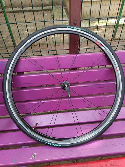 Roti cursiera bontrager ss