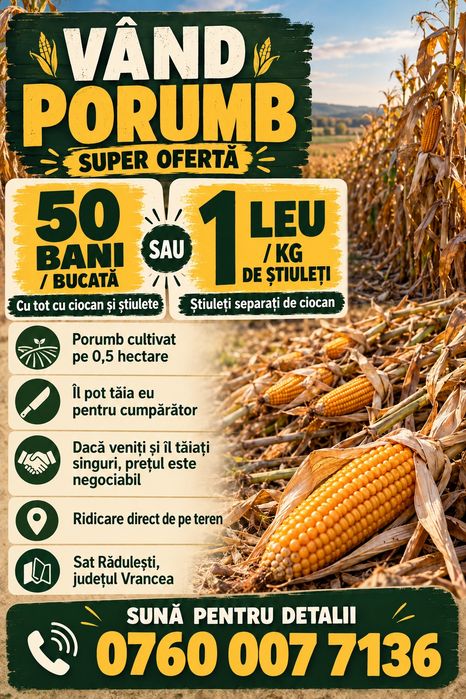 Vând porumb cu ciocan – 50 bani/buc. sau 1 leu/kg știuleți
