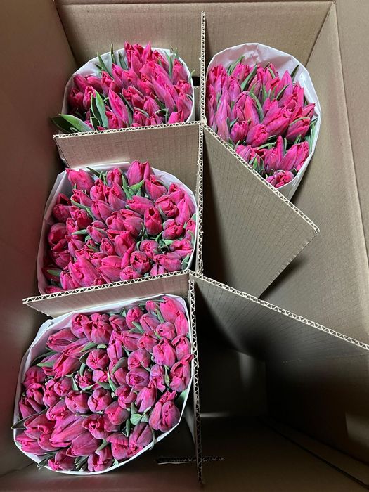 Тюльпаны, готовые букеты из тюльпанов!!!