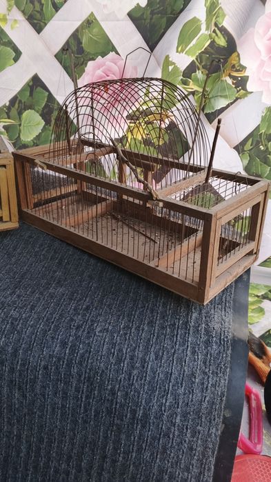 Клетки для ловли птиц