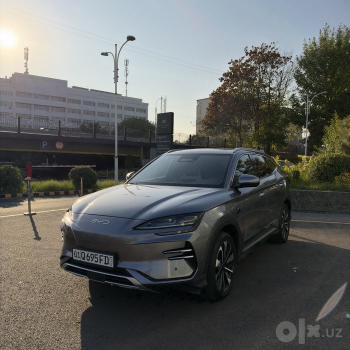 Byd champiom smart 2025
