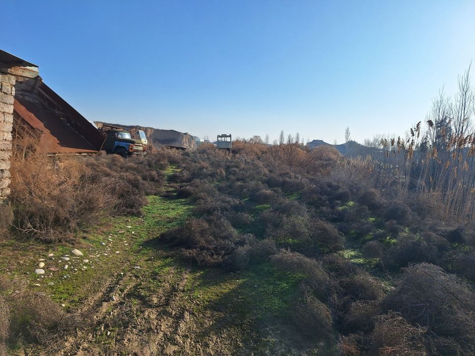 Chinoz tumani 2.90 gektar yer