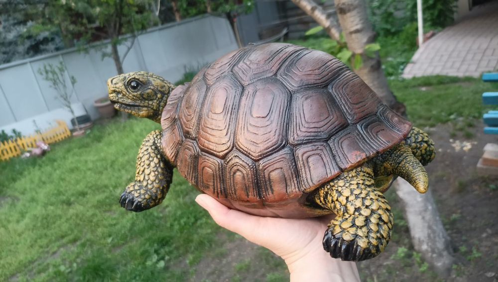 Садовая черепашка