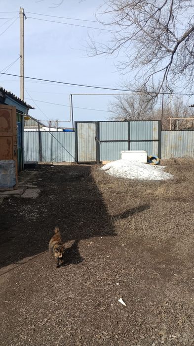 Продам дом в п. Маржанбулак