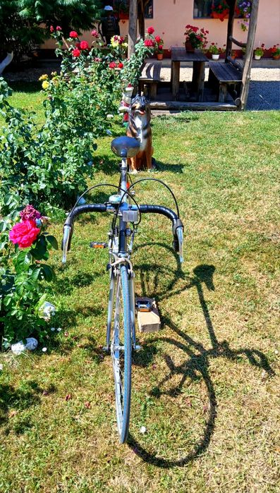 Vand bicicleta cursiera