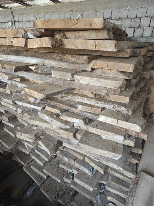 Карагач сосна сухие