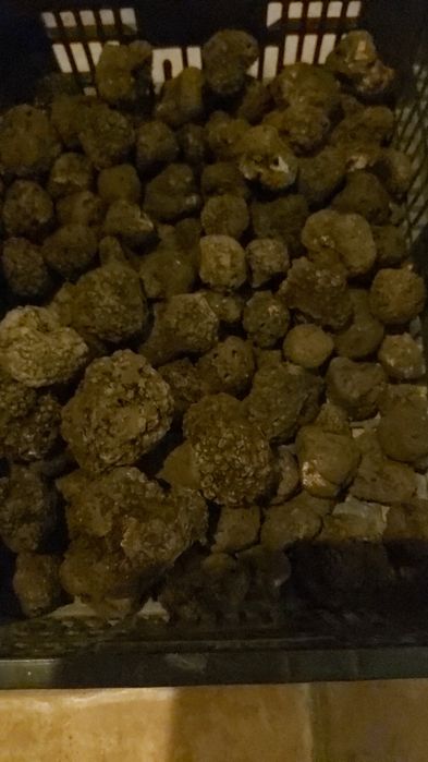 Rafinament delicatese ,albe si negre,uscate dar si in vid congelate