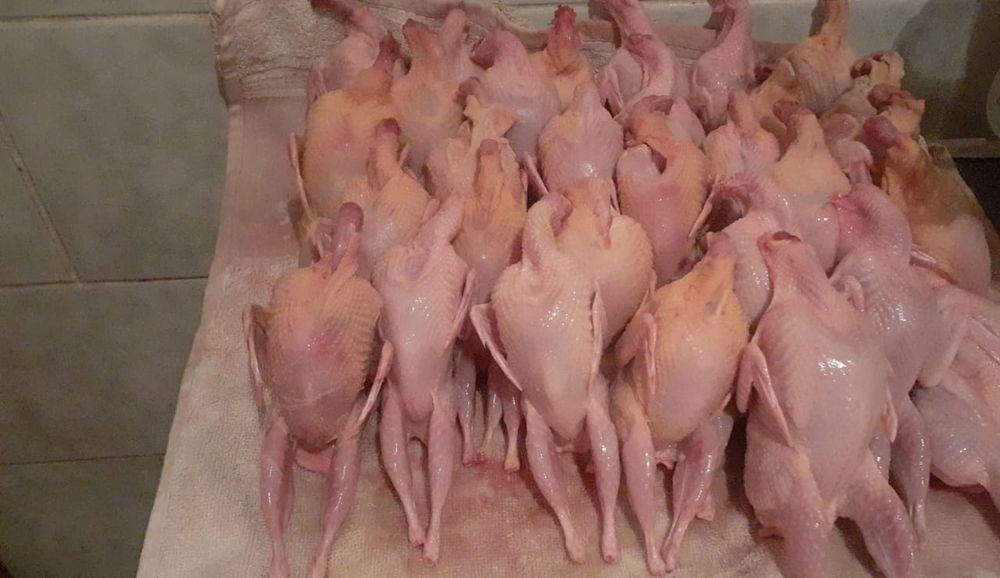 Бөдененің еті ( перепелиное мясо)