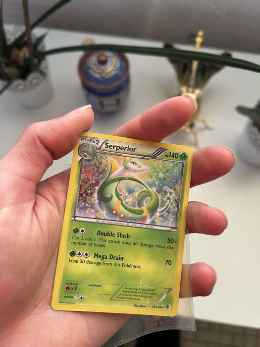 Pokemon Holo-Reverse holo карти