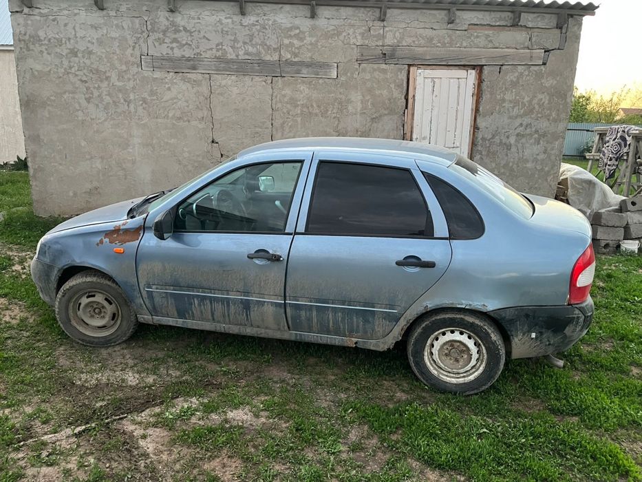 Калина продам срочно